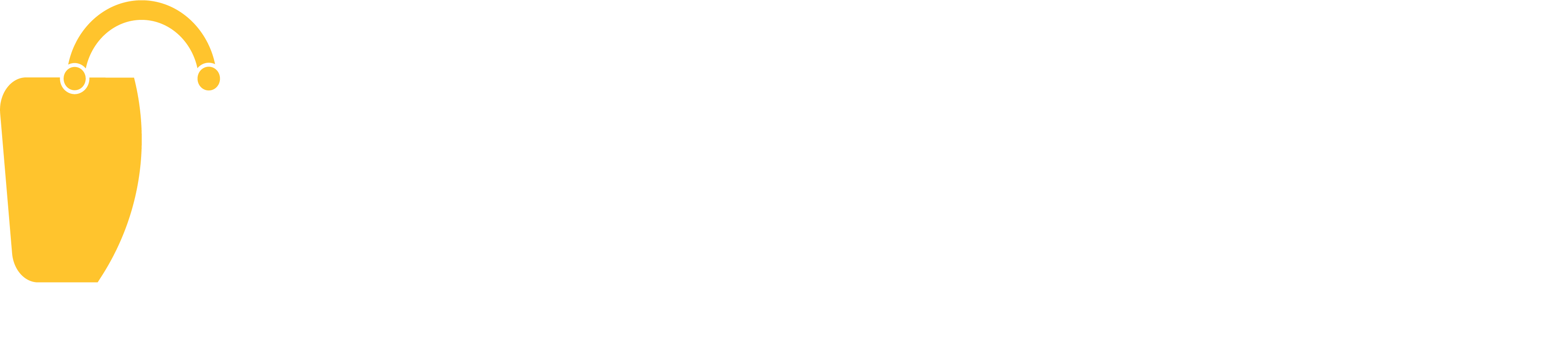 PentaMart Ltd.